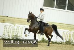 24R13_14296 thumbnail