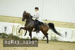 24R13_14297 thumbnail