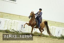 24R13_14298 thumbnail