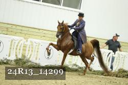 24R13_14299 thumbnail