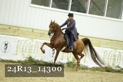 24R13_14300 thumbnail