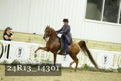 24R13_14301 thumbnail