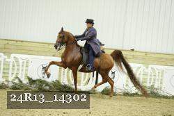 24R13_14302 thumbnail