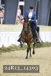 24R13_14303 thumbnail