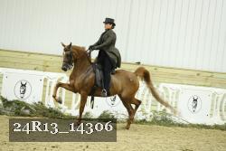 24R13_14306 thumbnail