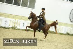 24R13_14307 thumbnail