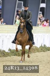 24R13_14308 thumbnail