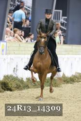 24R13_14309 thumbnail