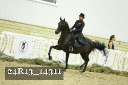 24R13_14311 thumbnail