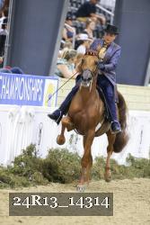24R13_14314 thumbnail