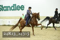 24R13_14315 thumbnail
