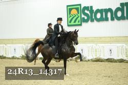 24R13_14317 thumbnail