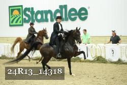 24R13_14318 thumbnail