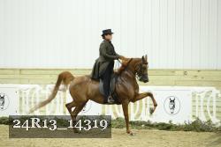 24R13_14319 thumbnail