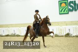 24R13_14320 thumbnail
