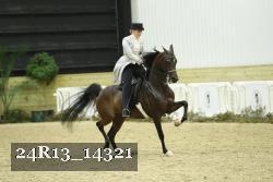 24R13_14321 thumbnail