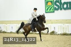 24R13_14322 thumbnail