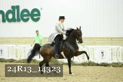 24R13_14323 thumbnail
