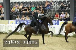 24R13_14325 thumbnail