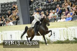 24R13_14326 thumbnail
