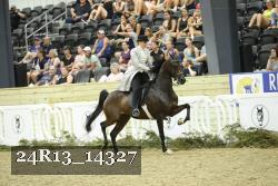 24R13_14327 thumbnail