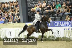 24R13_14328 thumbnail