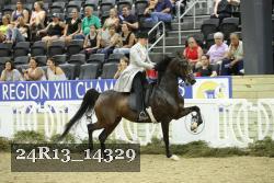 24R13_14329 thumbnail