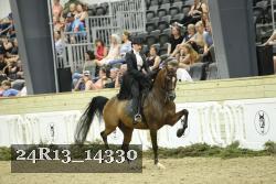 24R13_14330 thumbnail