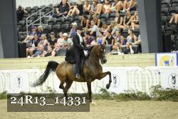 24R13_14331 thumbnail