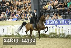 24R13_14332 thumbnail