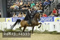 24R13_14333 thumbnail