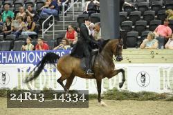 24R13_14334 thumbnail