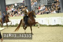 24R13_14335 thumbnail