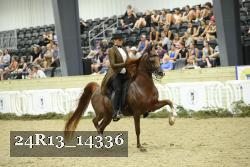 24R13_14336 thumbnail