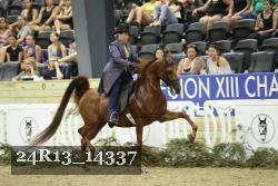 24R13_14337 thumbnail