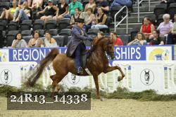 24R13_14338 thumbnail