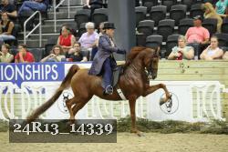 24R13_14339 thumbnail