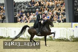 24R13_14340 thumbnail