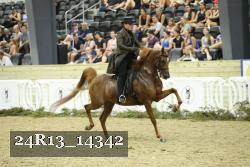 24R13_14342 thumbnail