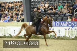 24R13_14343 thumbnail