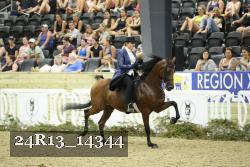 24R13_14344 thumbnail