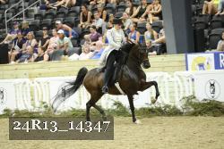 24R13_14347 thumbnail