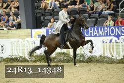 24R13_14348 thumbnail