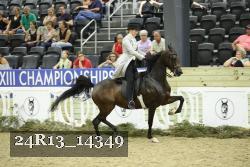 24R13_14349 thumbnail