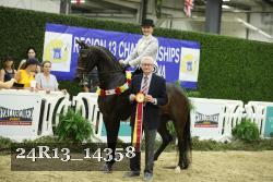 24R13_14358 thumbnail