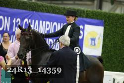 24R13_14359 thumbnail