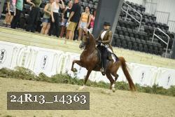 24R13_14363 thumbnail