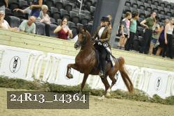 24R13_14364 thumbnail