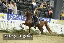 24R13_14366 thumbnail