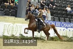 24R13_14367 thumbnail